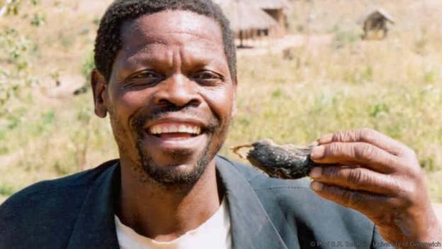 Video: Blacks eat rats for Xmas: Zimbabwe 2006