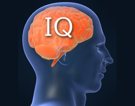 Video: More scientific proof that IQ is in hereditary - Jews lie for their Survival