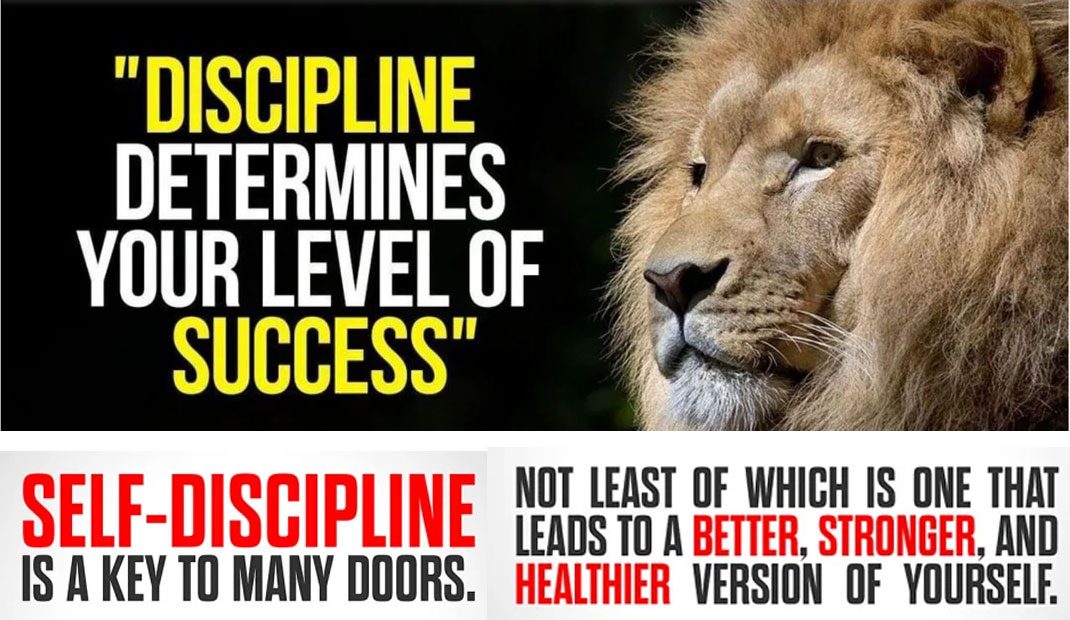 Video & Audio: The Core Values that Unite the White Race: Part 6: Discipline & Self-Discipline