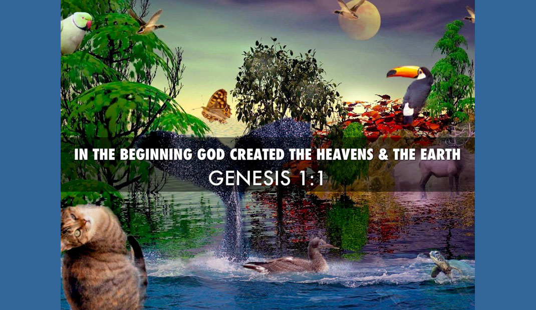 Video & Audio: The World God created ... Lessons from Nature for Whites