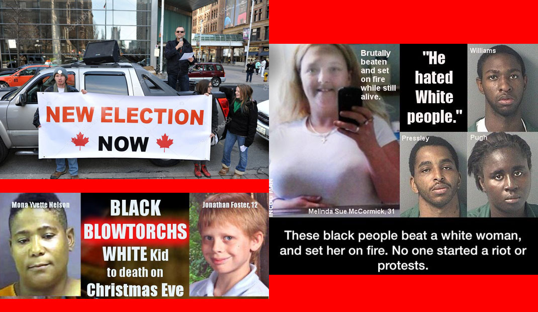 Video & Audio: TeamWhite 2020 No 8: Election Fraud & maltreatment of Whites in various countries