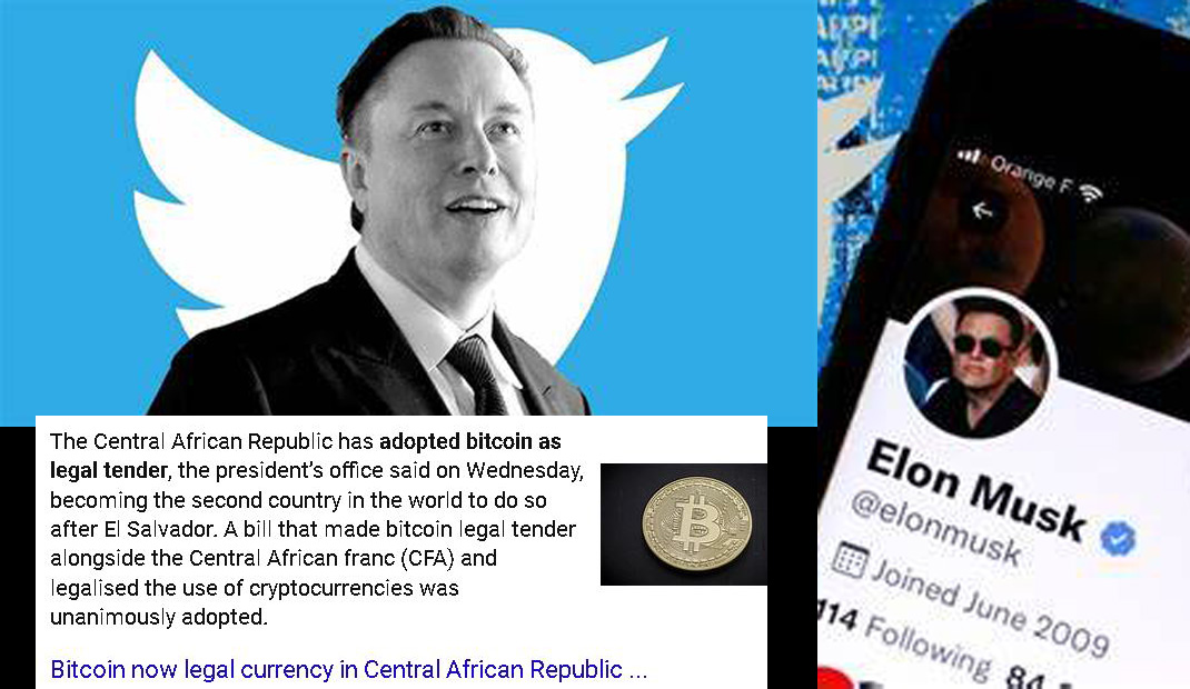 Video & Audio: TeamWhite 2022 No 3: Elon Musk buying Twitter & South African News