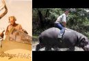 Video & Audio: Philosophy & History: How to understand all Human and Animal behaviour: Things to BEWARE OF!